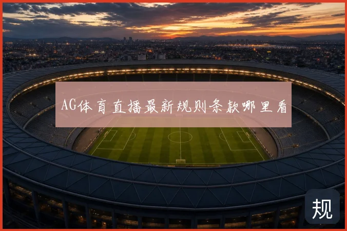 AG体育直播最新规则条款哪里看